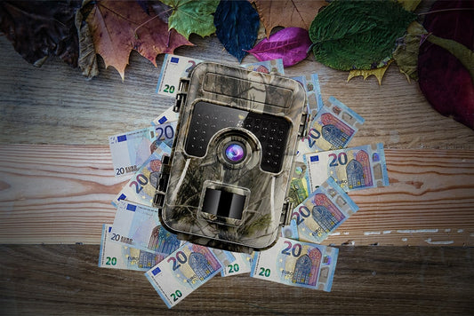 WildcameraXL Wat Is De Beste Wildcamera Op Een Laag Budget