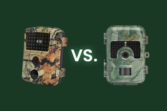 action wildcamera vs wildcameraxl instapmodel sm4pro