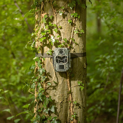 WildCameraXL Camouflage EX2 Ultra Wildlife Camera 4K Video 32MP Natuur Fotografie Beveiliging Camera