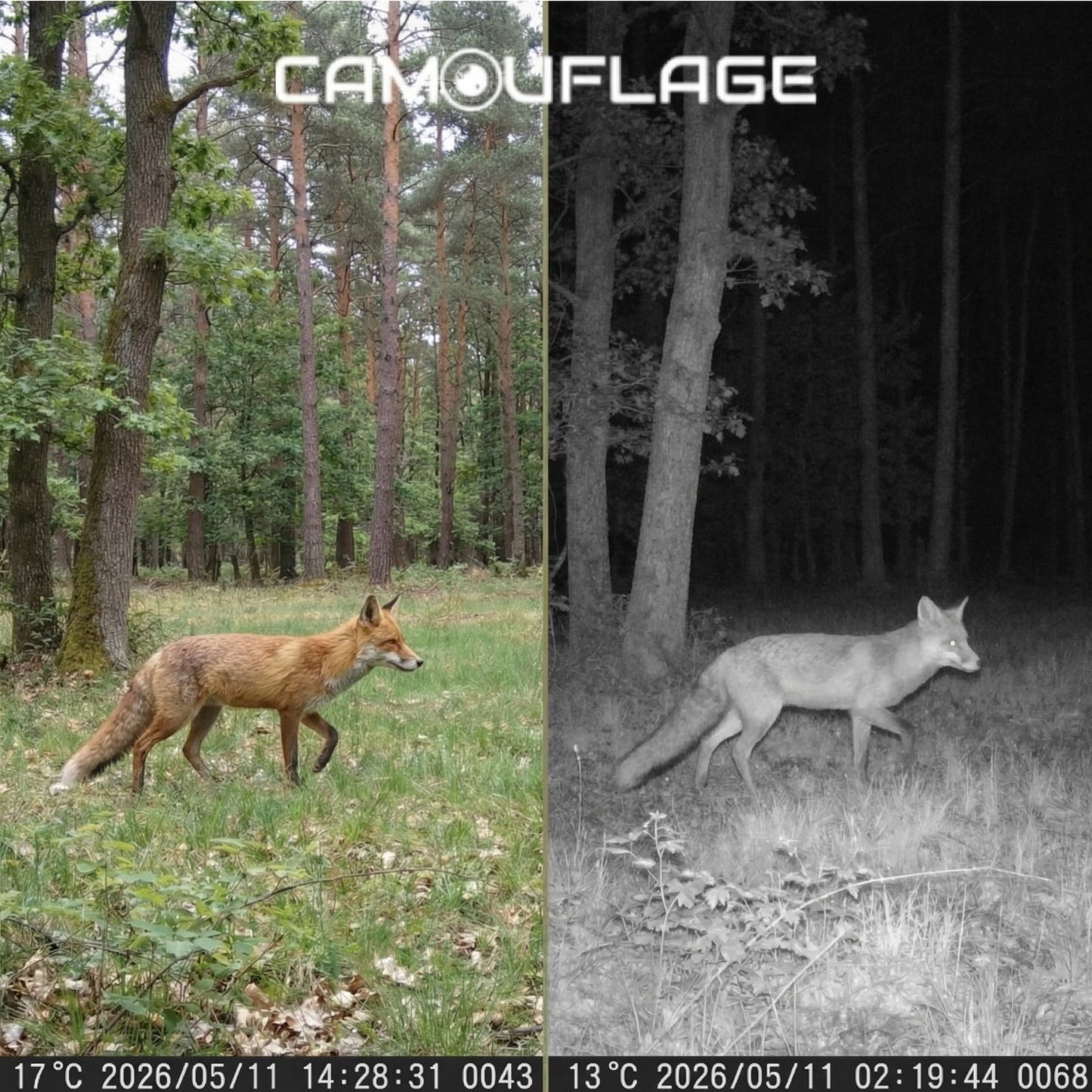 Camouflage EZ45 WiFi