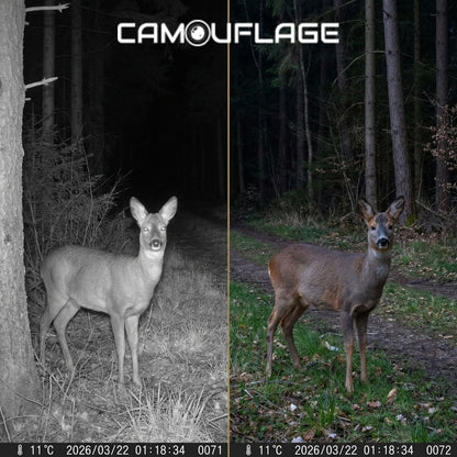 Camouflage EZ2 Elite - Dual Lens