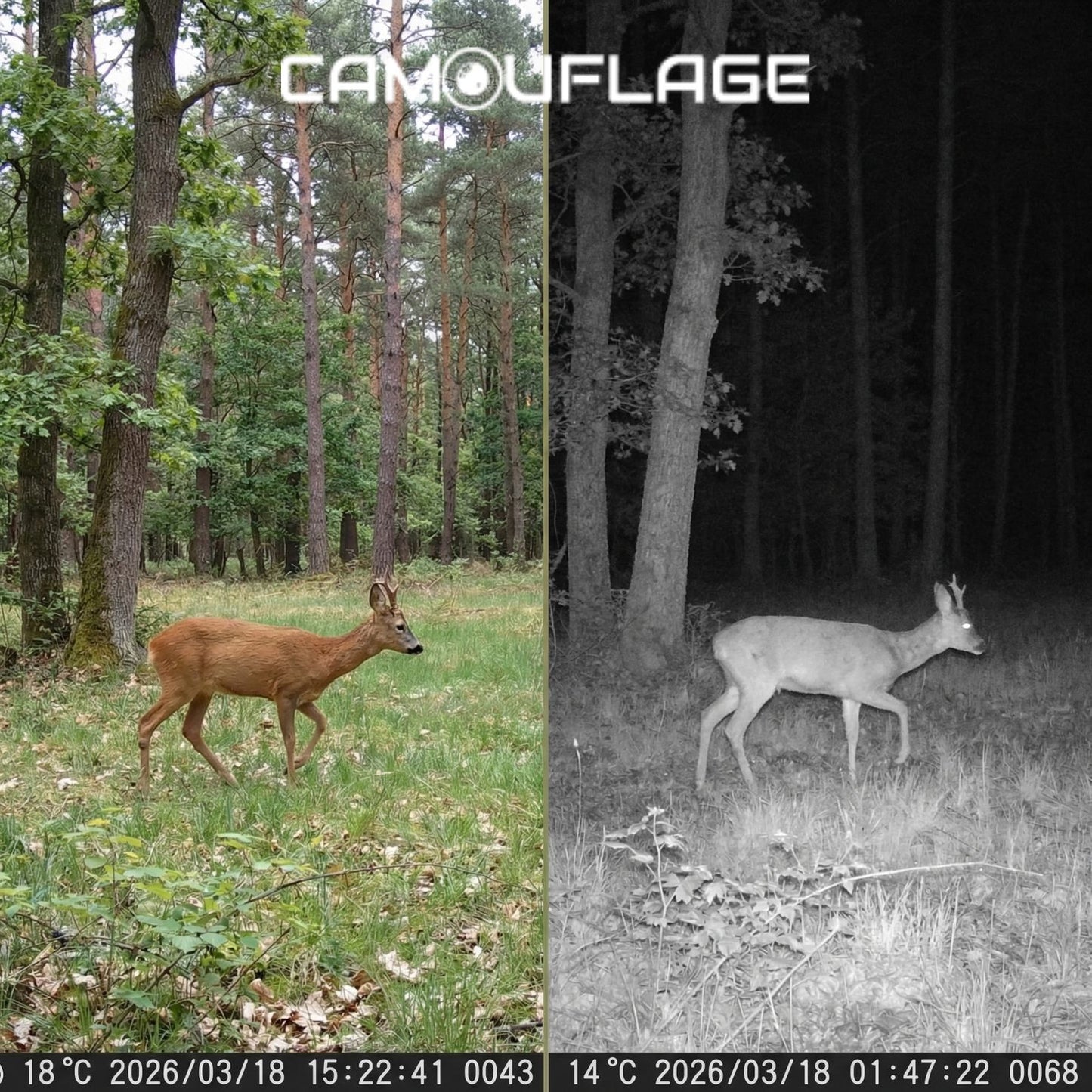 Camouflage EZ20 WiFi