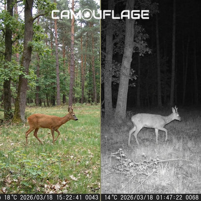 Camouflage EZ20 WiFi