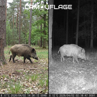 Camouflage EZ4G-Pro – Dé ultieme 4G wildcamera