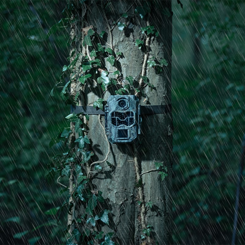     WildCameraXL Camouflage EX2 Ultra Wildlife Camera 4K Video 32MP Natuurfotografie Waterbestendige Natuurcamera