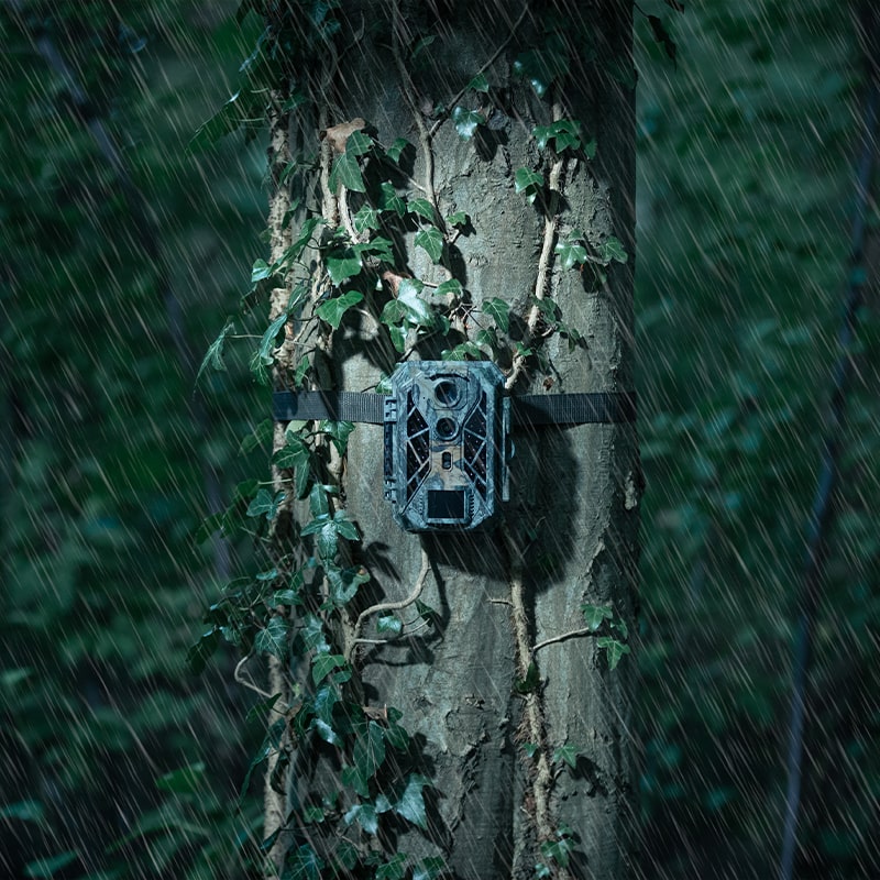     WildCameraXL Camouflage EZ2 Elite Dual Lens Outdoor Camera Water Bestendig