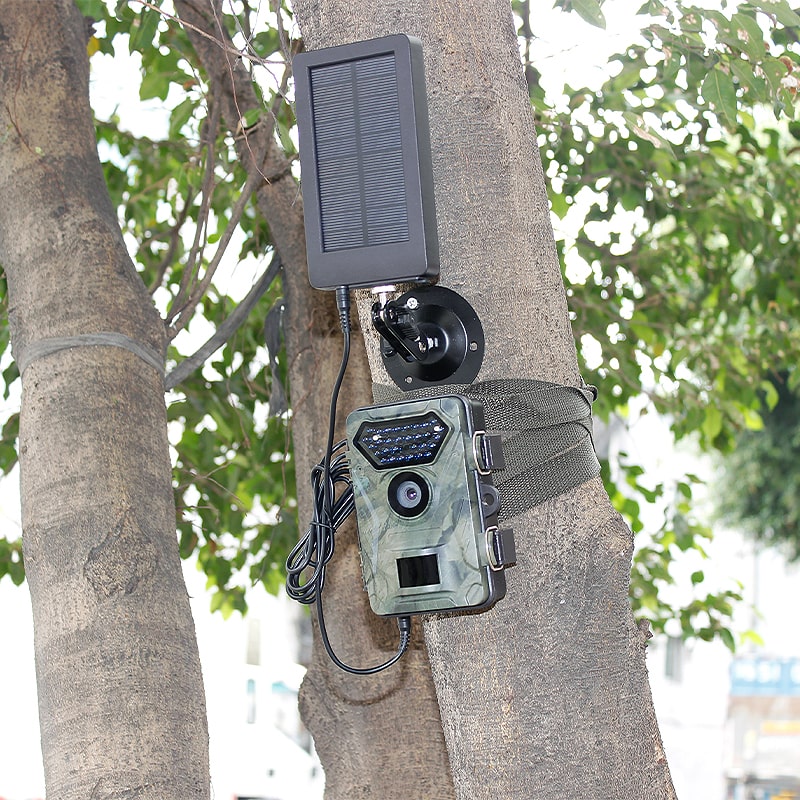     WildCameraXL Zonnepaneel Voor Wildcamera Vee Jacht Observatie Camera