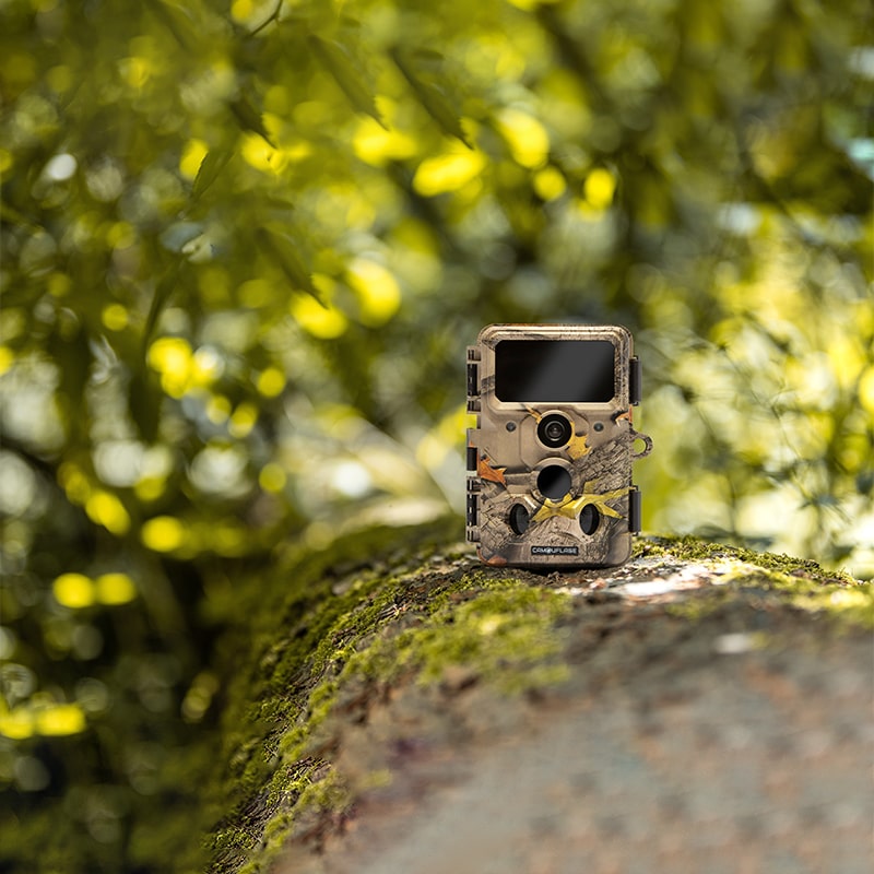     WildcameraXL Camouflage EZ60 Wildcamera Jacht Camera 30 Megapixels