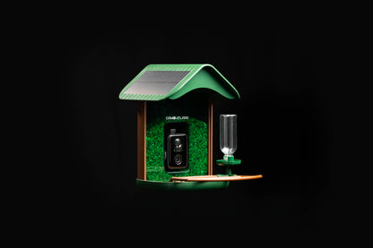 Camouflage EZ-BirdFeed - Bird feeder with AI camera